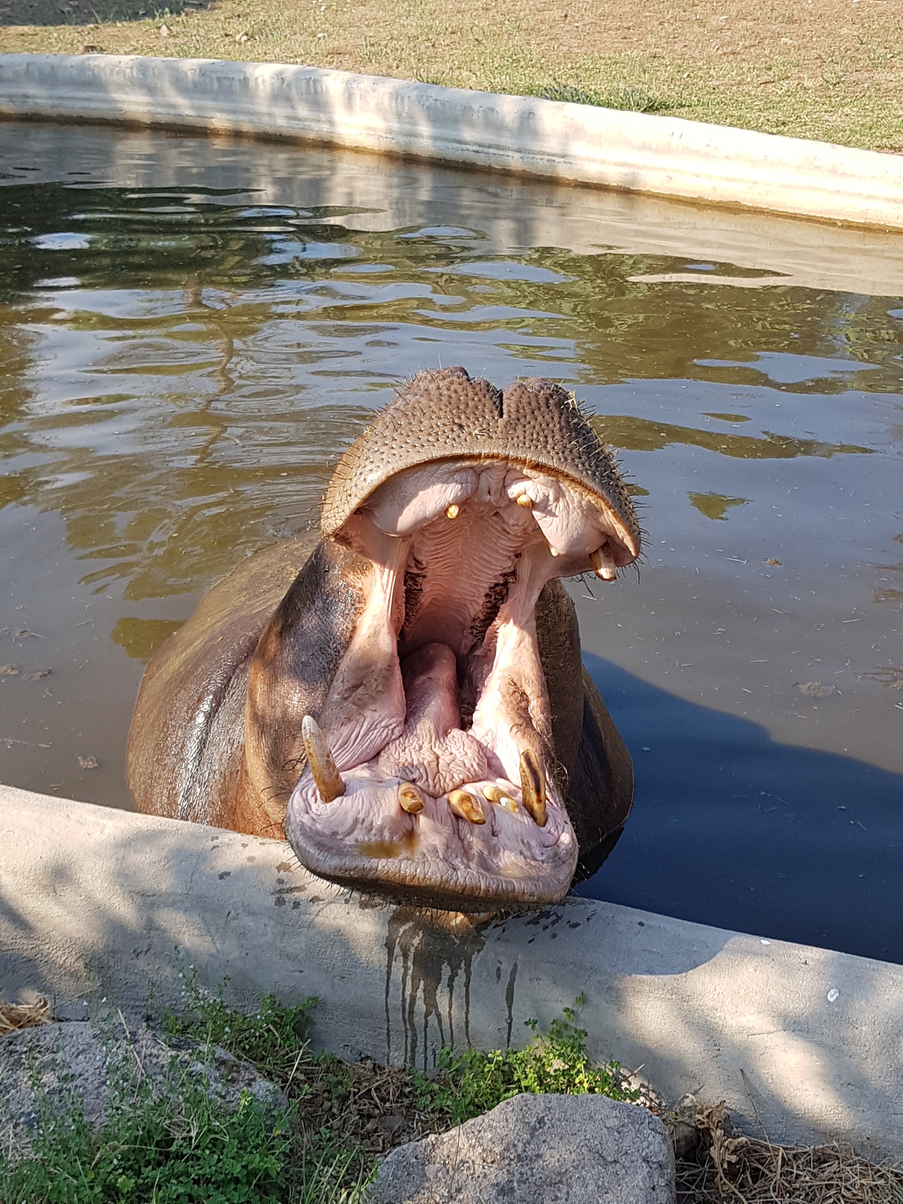 Photo n° 1 de l'avis de Cecile.e fait le 05/08/2018 à 03:14