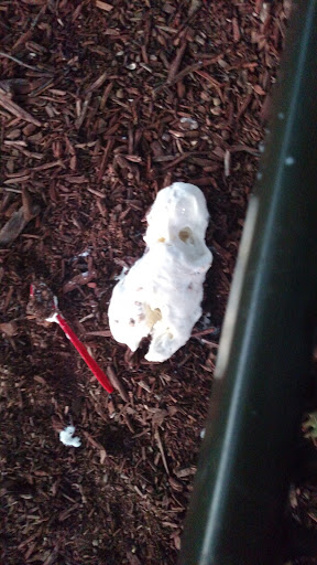 Fast Food Restaurant «Dairy Queen», reviews and photos, 1160 Menomonie St, Eau Claire, WI 54703, USA