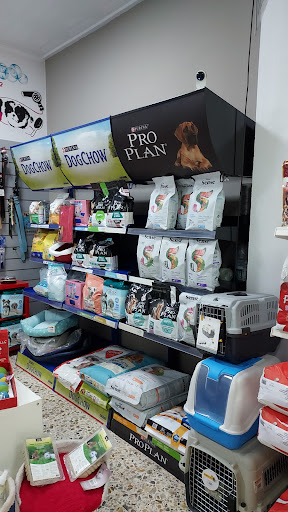 Tu Peque Mascota en Sarria, Lugo