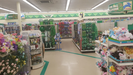 Dollar Store «Dollar Tree», reviews and photos, 2840 Washtenaw Ave, Ypsilanti, MI 48197, USA