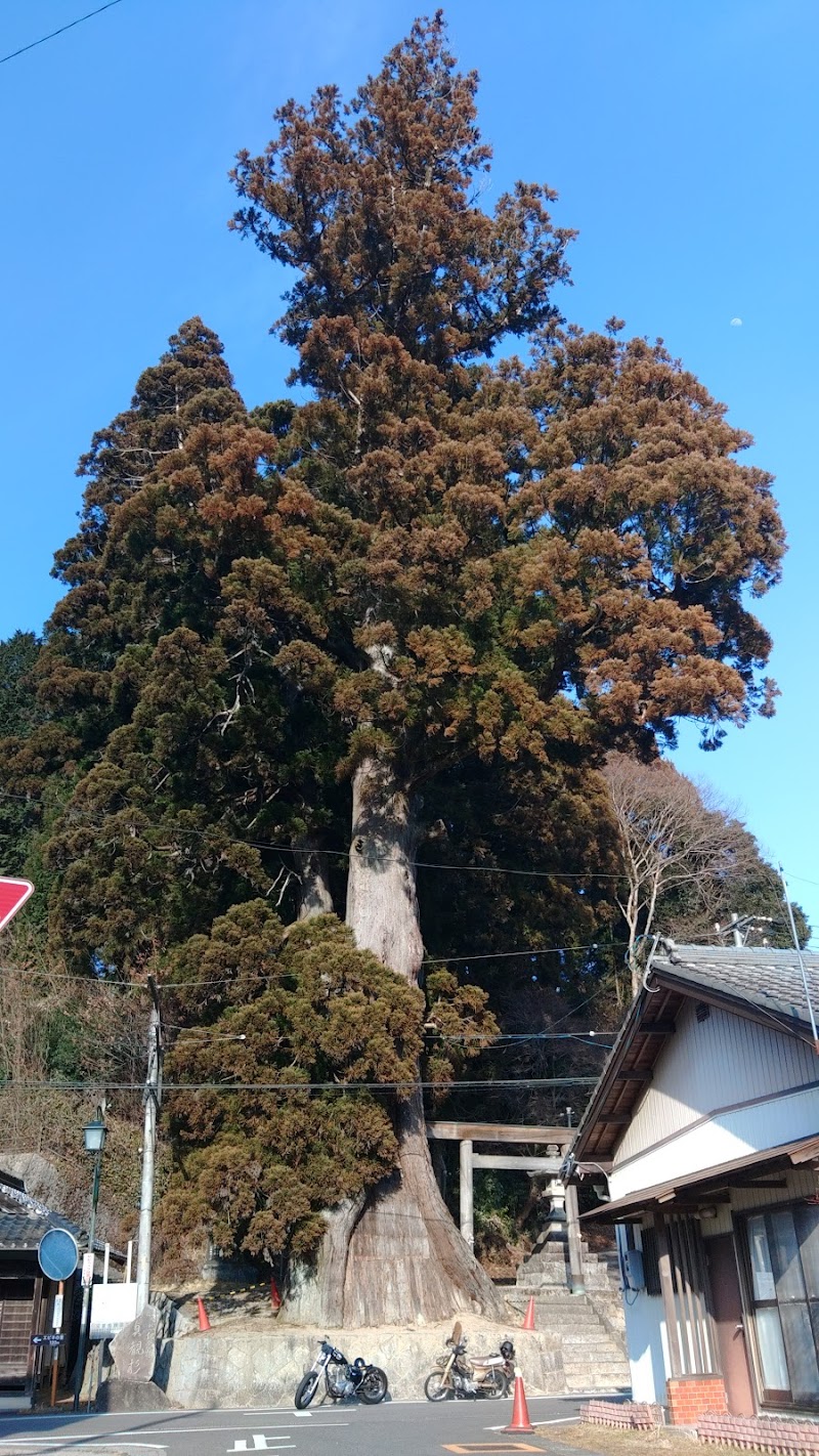 杉本神明神社