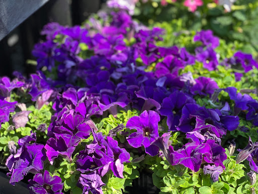 Hardware Store «Laurel Ace Hardware», reviews and photos, 4024 MacArthur Blvd, Oakland, CA 94619, USA