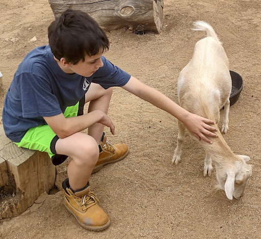 Zoo «Heritage Park Zoological Sanctuary», reviews and photos, 1403 Heritage Park Rd, Prescott, AZ 86301, USA