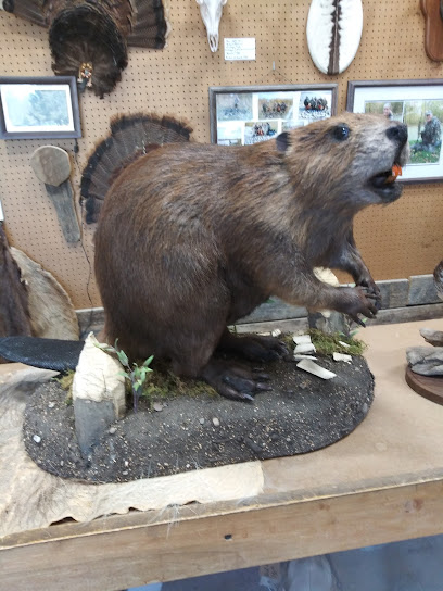 Clearwater Taxidermy