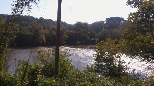 Restaurant «Salvage Station», reviews and photos, 468 Riverside Dr, Asheville, NC 28801, USA