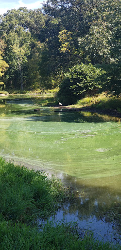 Golf Course «Spooky Brook Golf Course», reviews and photos, 582 Elizabeth Ave, Somerset, NJ 08873, USA