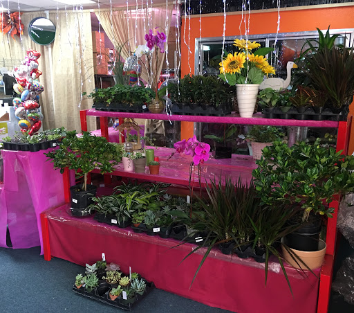 Florist «City of Flowers», reviews and photos, 215 Moffett Blvd, Mountain View, CA 94043, USA