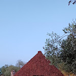 Photo n°1 de l'avis de Franco.a fait le 02/05/2024 à 21:24 sur le  Azienda Agrituristica Sa Mandra à Alghero