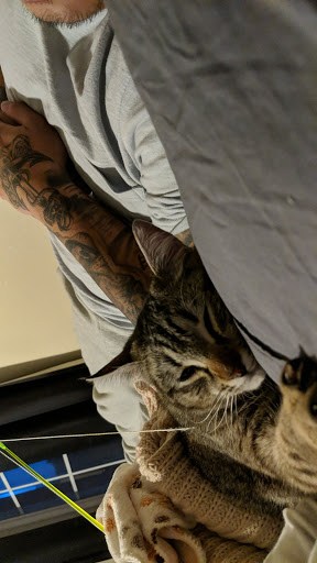 Thrift Store «Pet Rescue Thrift Store», reviews and photos, 3564 Central Ave, Riverside, CA 92506, USA