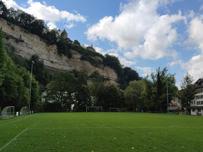 Fussballplatz Hinter den Gärten - Sportstätte