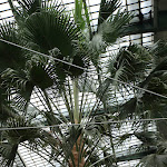 Photo n°8 de l'avis de Edith.� fait le 18/02/2024 à 23:09 sur le  Gesellschaftshaus Palmengarten à Frankfurt