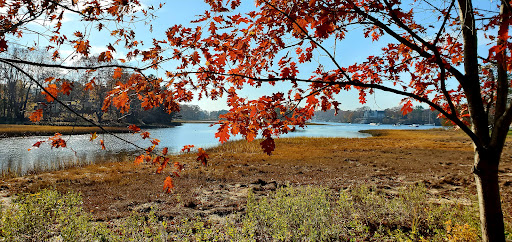 Park «Masconomo Park», reviews and photos, 60 Beach St, Manchester-by-the-Sea, MA 01944, USA