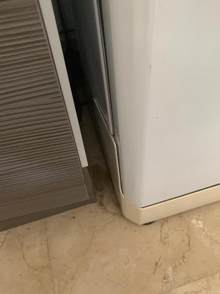 Photo n° 3 de l'avis de Narcisse. fait le 10/05/2023 à 18:23