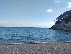 Photo de Spiaggia della Cala zone sauvage