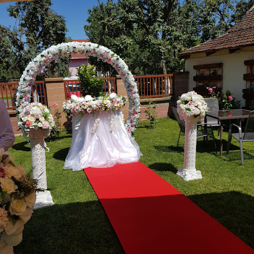 porumbei albi și decorațiuni ryoevents -personalizare prin broderie, croitorie - <nil>