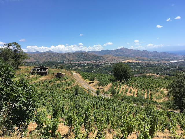 Cantina del Malandrino