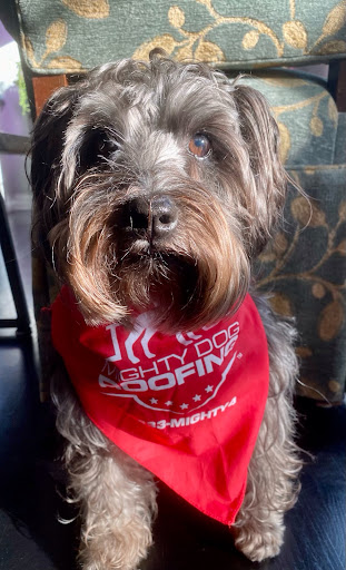 Roofing Contractor «Roof Roof», reviews and photos