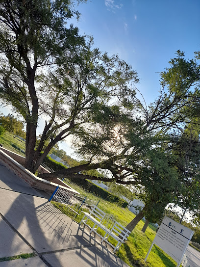 Tecnológico Nacional de México Campus Ciudad Jiménez