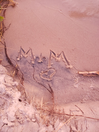 Lighthouse «Little Sable Point Lighthouse», reviews and photos