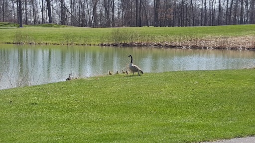 Golf Course «Pierce Lake Golf Course», reviews and photos, 1175 South Main Street, Chelsea, MI 48118, USA