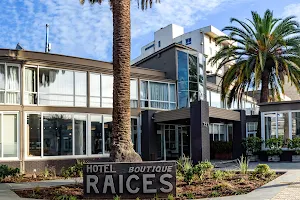 Hotel Raices image