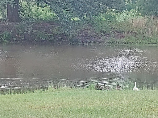 Park «Municipal (Langan) Park», reviews and photos, 4901 Zeigler Blvd, Mobile, AL 36608, USA