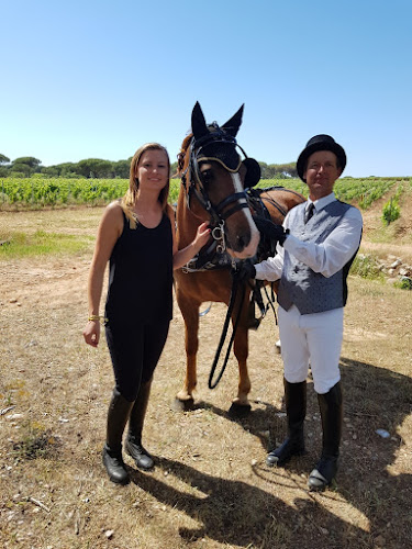 Les Poneys Vençois à Vence