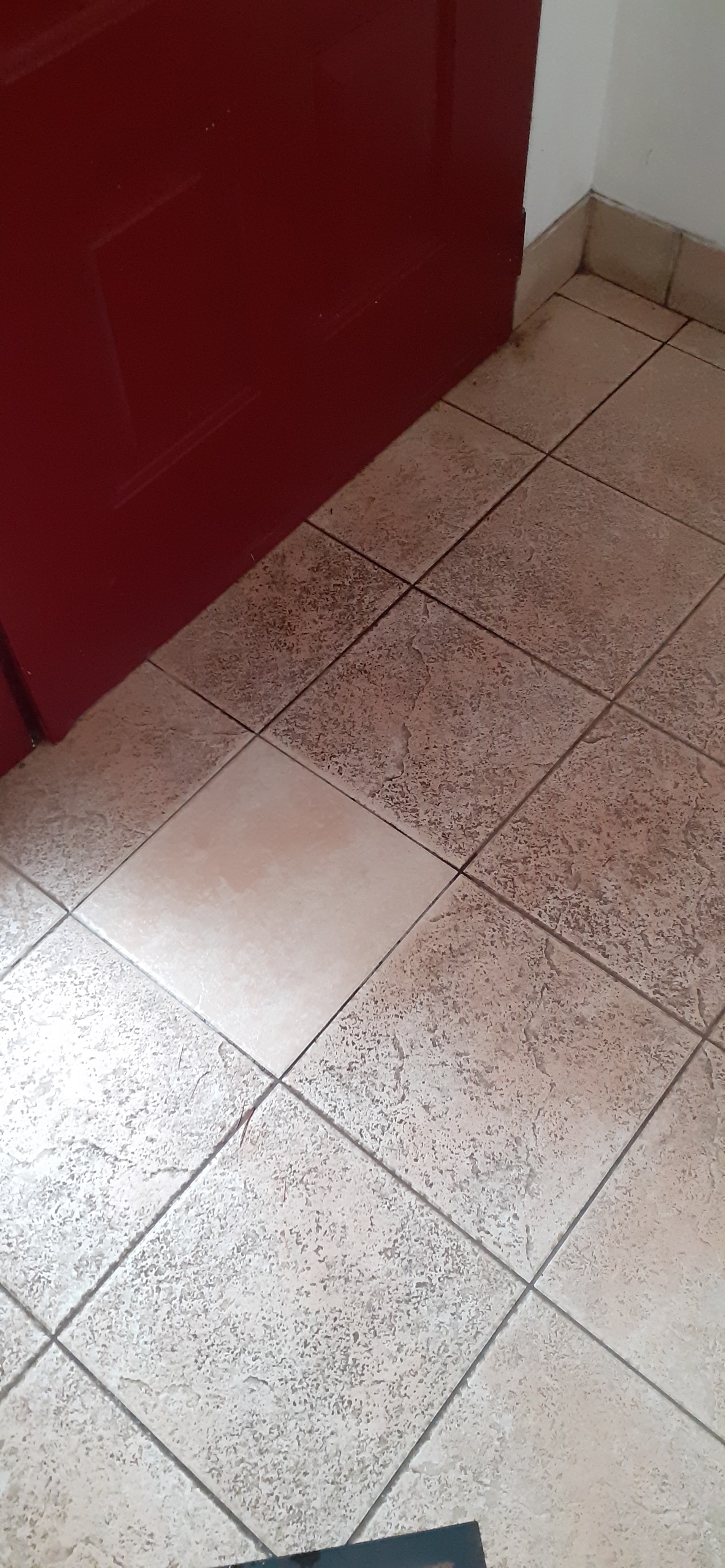 Photo n° 4 de l'avis de Morel.a fait le 01/10/2021 à 12:59