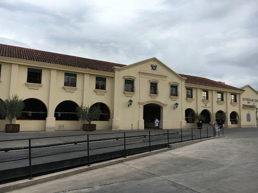 Bodegas López - Champañera