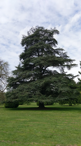 Golf Course «Wayne Public Golf Course», reviews and photos, 16721 96th Ave NE, Bothell, WA 98011, USA