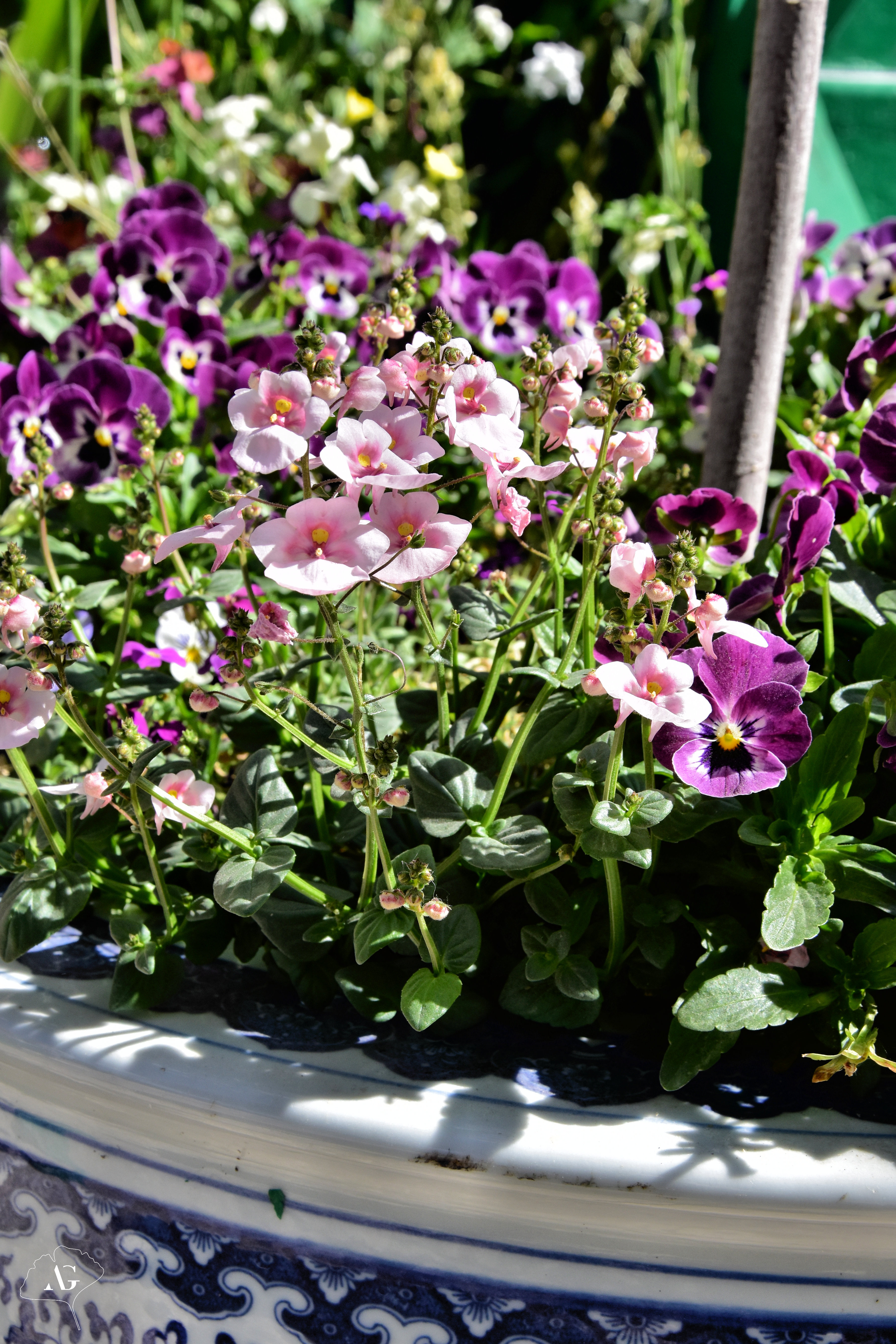 Photo n° 32 de l'avis de Audrey.. fait le 17/05/2022 à 09:49