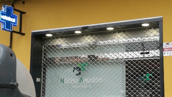 Nacho Anadón Veterinari