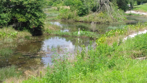 Park «Municipal (Langan) Park», reviews and photos, 4901 Zeigler Blvd, Mobile, AL 36608, USA