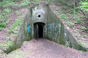 Antakalnio bunkeriai image