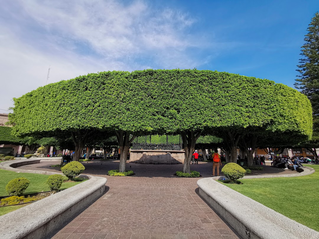 Jardín Principal de Celaya