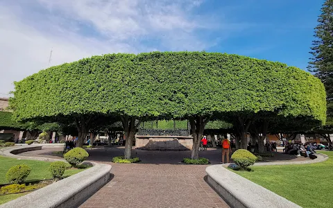 Jardín Principal de Celaya image