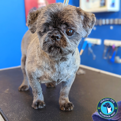 Pet Store «Healthy Pets Mountain West», reviews and photos, 2352 Fort Union Blvd, Cottonwood Heights, UT 84121, USA