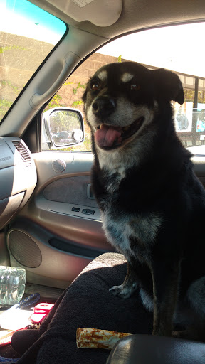 Pet Supply Store «Pet Food Express», reviews and photos, 265 Davis St, San Leandro, CA 94577, USA