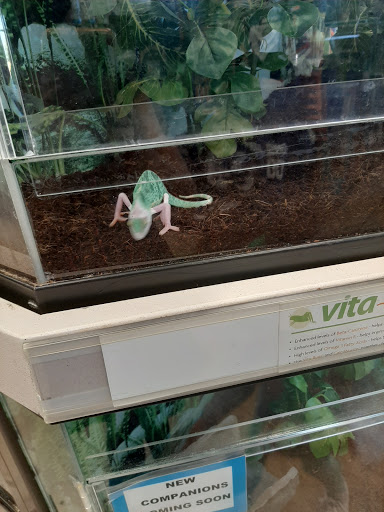 Pet Supply Store «Petco Animal Supplies», reviews and photos, 1275 W Boston Post Rd, Larchmont, NY 10538, USA