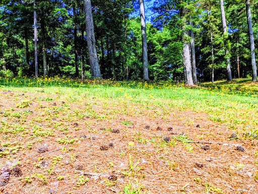 Park «Alexander Park», reviews and photos, 300 Atlanta St, McDonough, GA 30253, USA