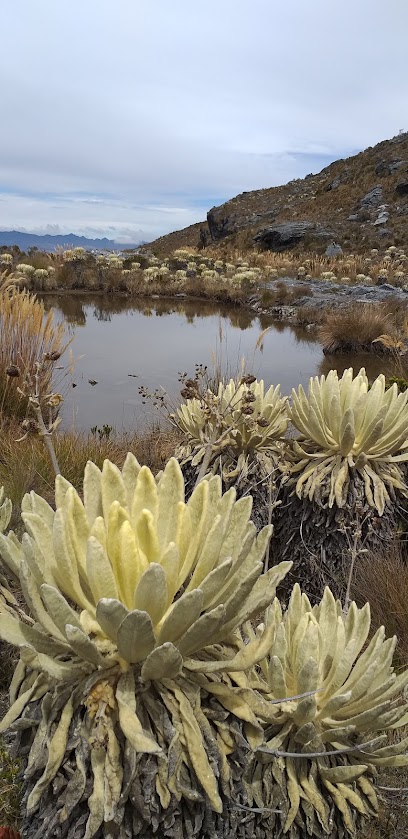 Paramo del Almorzadero