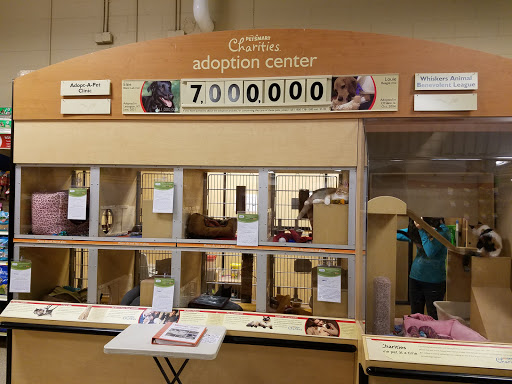 Pet Supply Store «PetSmart», reviews and photos, 19 Clifton Country Rd, Clifton Park, NY 12065, USA