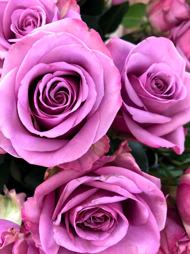 Florist «Sykes the Florist and Greenhouses», reviews and photos, 1300 Lawrence St, Lowell, MA 01852, USA