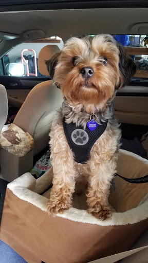 Pet Groomer «Happy Tails Pet Center», reviews and photos, 4370 SE King Rd Ste 260, Milwaukie, OR 97222, USA