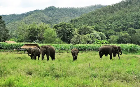 Chiang Mai Elephant Home - Office in the City image