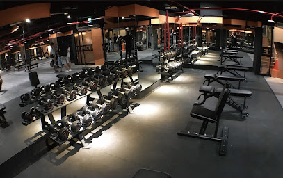 Uncle Mike Fitness - 234, Taiwan, New Taipei City, Yonghe District, Zhongzheng Rd, 316號地下 1 F