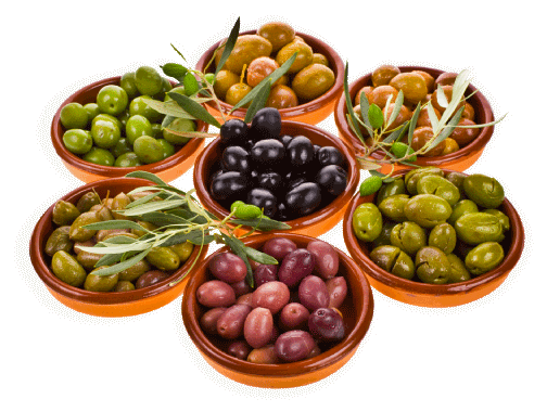 Grocery Store «Euromarket», reviews and photos, 30 S Sproul Rd, Broomall, PA 19008, USA