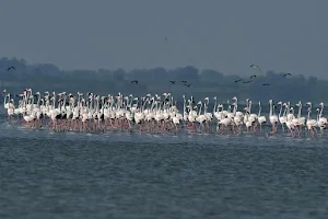 Pulicat Lake image