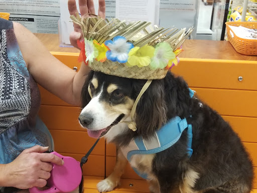 Pet Supply Store «PetSmart», reviews and photos, 2833 35th Ave, Greeley, CO 80634, USA