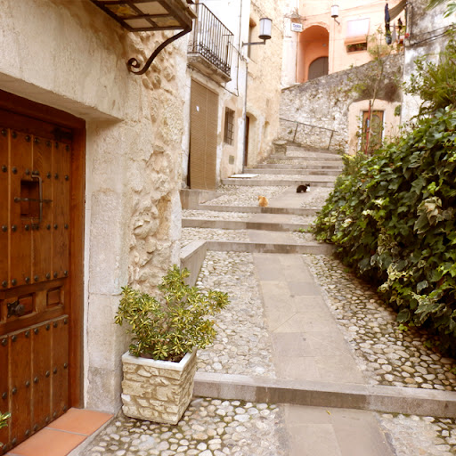 Arquea - Visitas Guiadas Bocairent en Bocairent